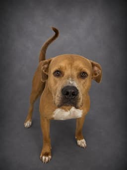 Benny image 1