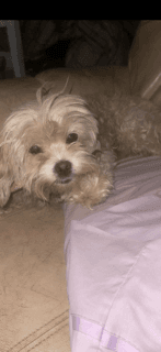 Charlie