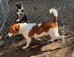 Farley image 2