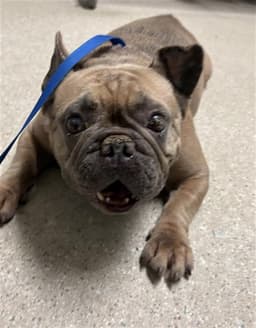 Fiona image 1