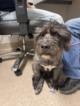 Monty image 1