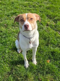 Amy image 1