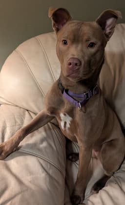 Adorable Maisy image 2