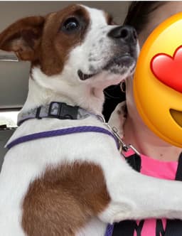 Lil Belle image 2