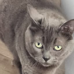 Emma image 1