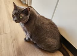 Emma image 3