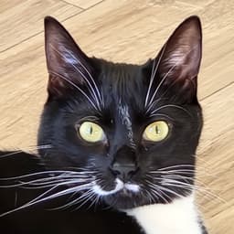 Max image 1
