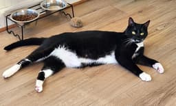 Max image 2