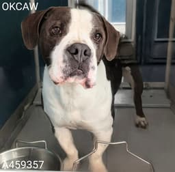 Tucker image 1