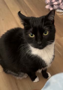 Pepper image 3
