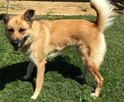 Reba image 1