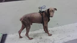 Unknown image 1