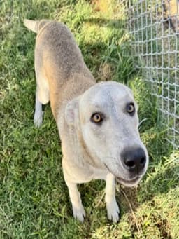 Serious image 1