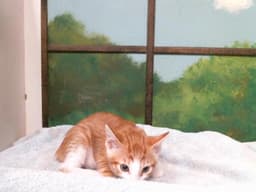 Cookie image 1