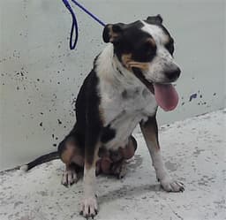 Jenna image 1