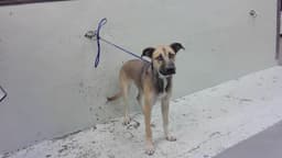 Floppy image 1