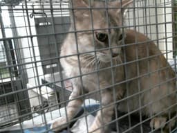 Unknown image 1