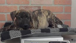 Unknown image 1