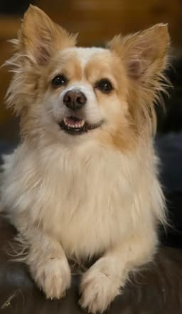 Benny Walworth Kramer image 2