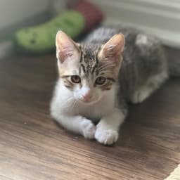 Tina image 1