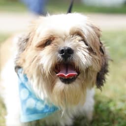 Monty image 1