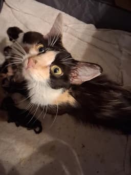 Momma image 1