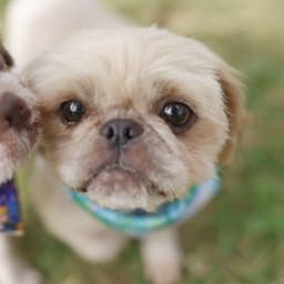 Maddy image 1