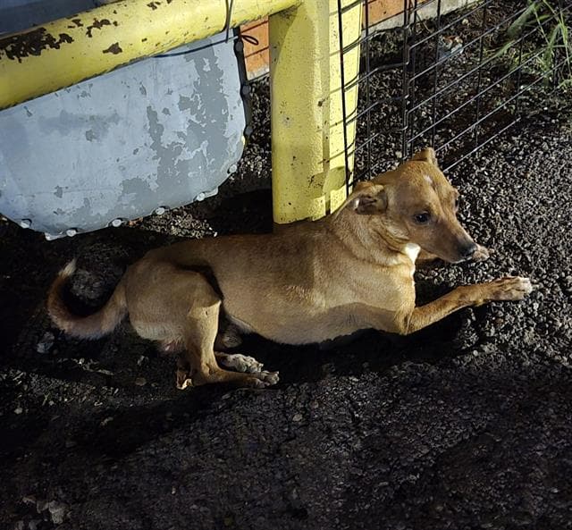 Ranch - Chihuahua
