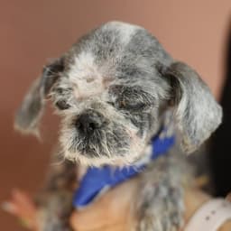 Sadie image 1
