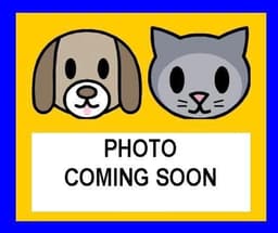 Chickie image 1