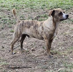 Menace image 1