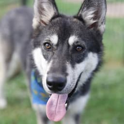 Lucy image 1