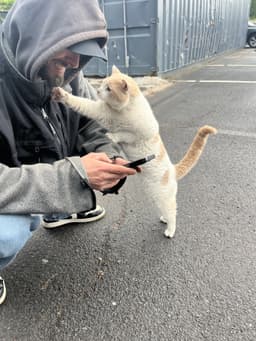 Chester image 2