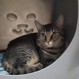 Mateo image 1
