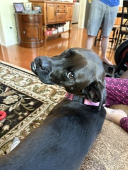 Winnie image 2
