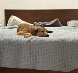 Maggie image 3