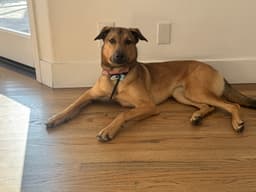 Maggie image 2