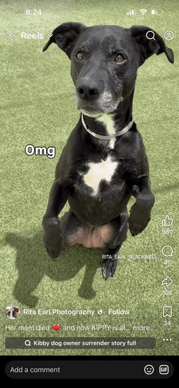 Kippy image 1