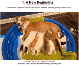 Emma - Momma image 1