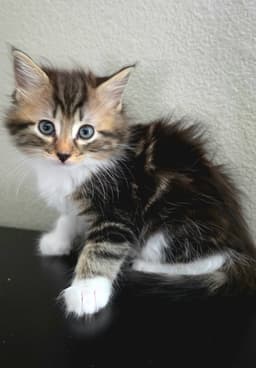 Margot image 2