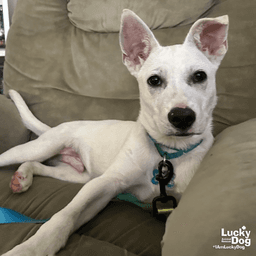 Sprite image 4