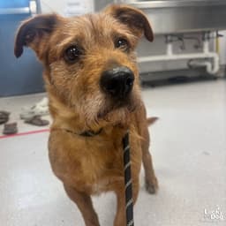 Zeke image 1