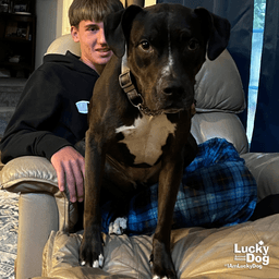 Holly image 4