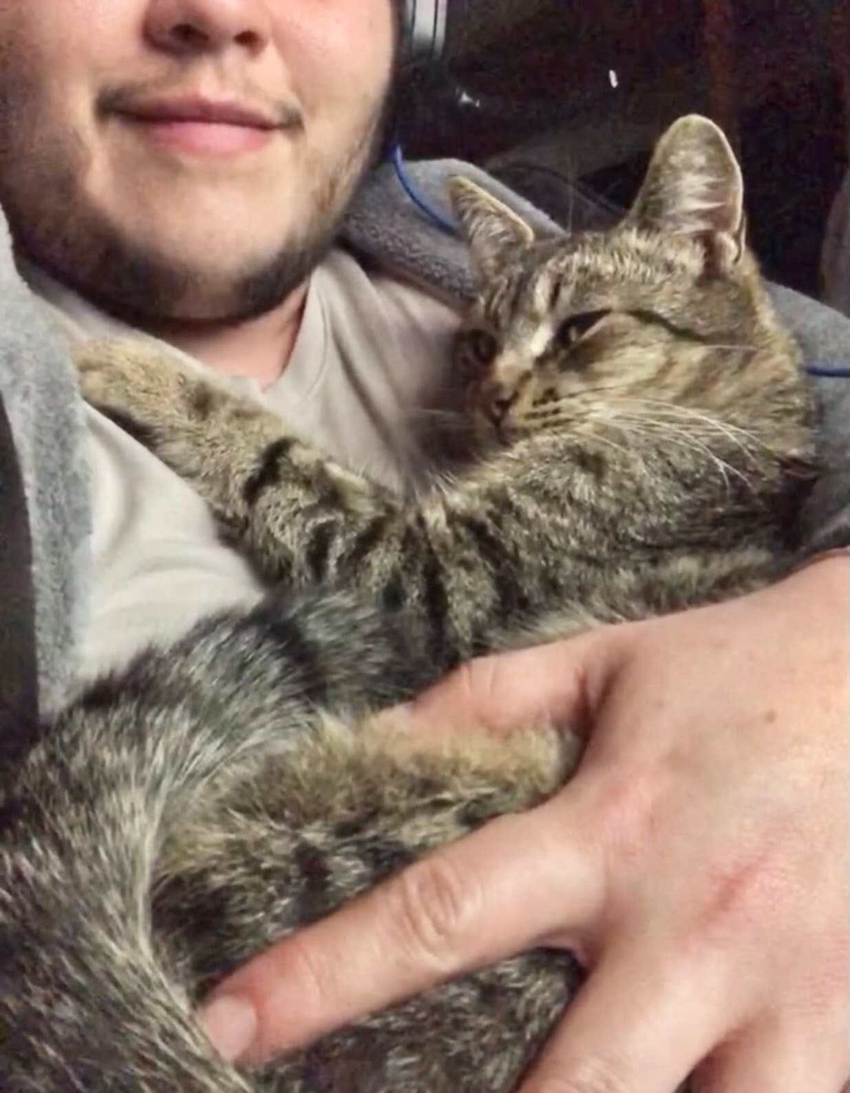 Floopa Napa - Tabby