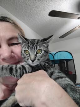 Tilly  Kat image 2