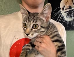 Marvin  Av image 1