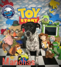 Manchas image 3