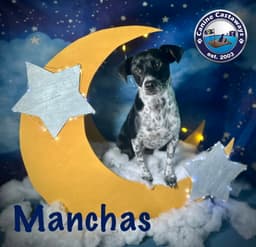 Manchas image 4