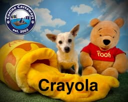 Crayola image 3
