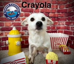 Crayola image 4